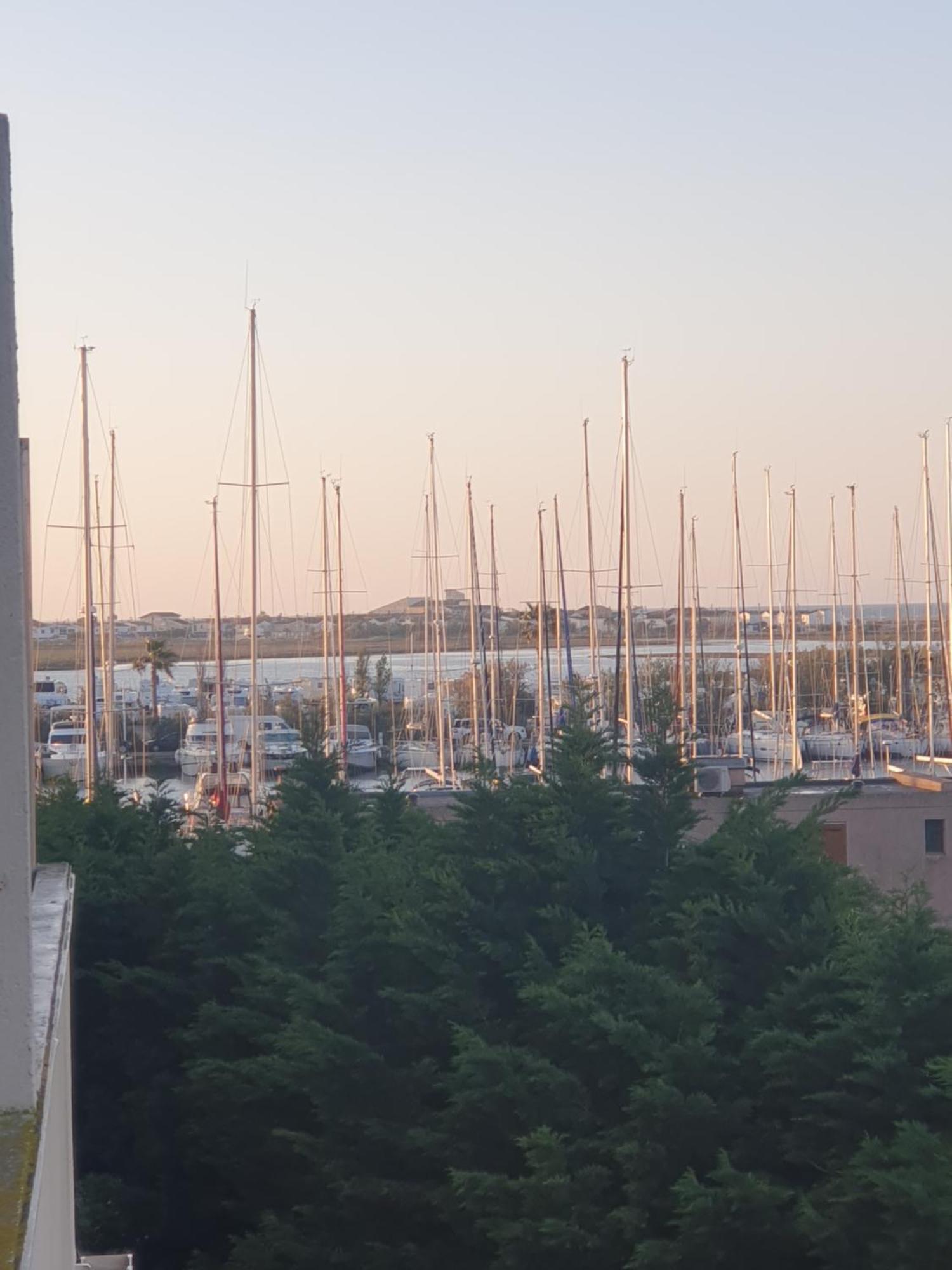 Cote Marina Appartement Gruissan